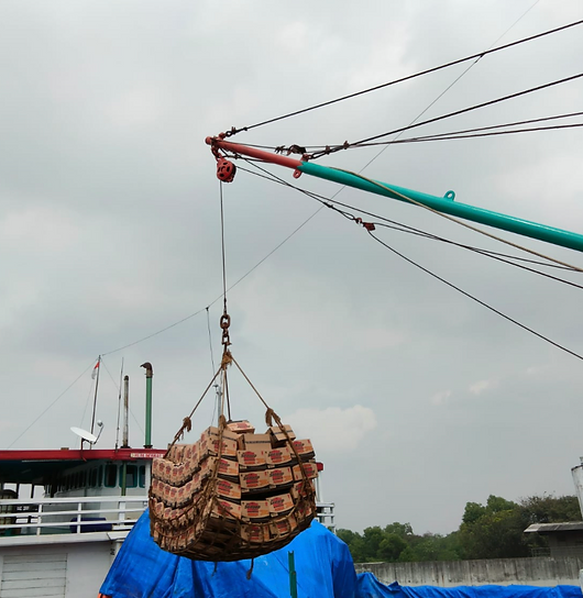 Industrial Lifting Cargo Net